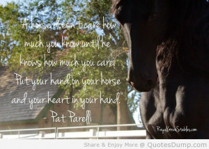 Meaningful Horse Quotes (12)