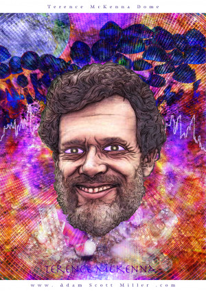 Terence McKenna Dome