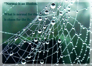 Normal is an illusion. What is normal for the spider is chaos to the ...