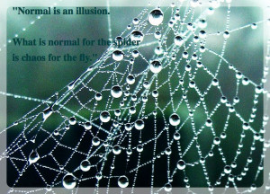 Normal is an illusion. What is normal for the spider is chaos to the ...