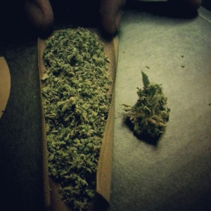 Related Pictures weed blunt tumblr