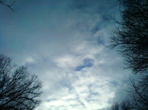 blue, cloud, december, nature, pretty, sky, trees, white, winter