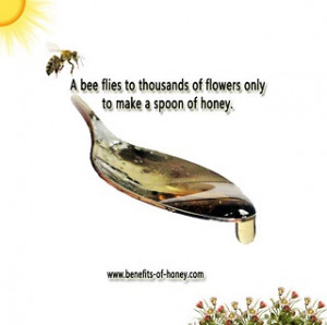 The honey bee’s wings stroke incredibly fast, about 200 beats per ...