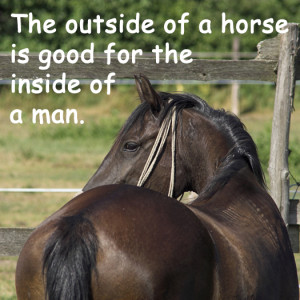 Pinnable Horse Quotes and Sayings