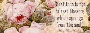 southern quotes facebook covers girl saying facebook cover southern ...