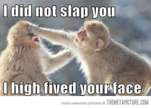 Funny photos funny monkey slap high five face