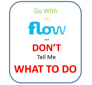 Don't tell me what to do - how to make changes without changing - Flow ...