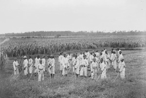 Jim Crow Photo: Juvenile Convicts