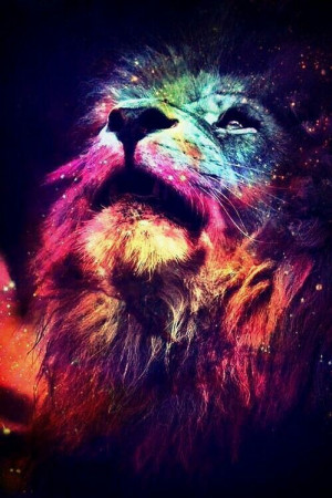 animal, background, colors, cool, cute, disney, galaxy, grr, hipster ...