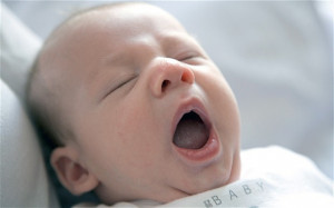 Babies and young children are immune to catching yawns.