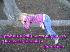 Boredom is the feeling that everything is a waste of time; serenity ...