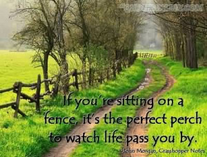... Sitting On A Fence, It’s The Perfect Perch To Watch Life Pass You By