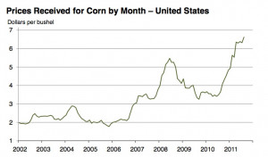 CBOT Corn Prices Bushel