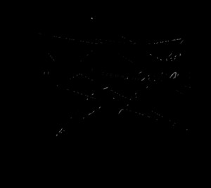 ... you can change who you are and what you are by changing what goes into