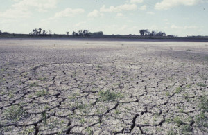 Drought Land Stock Photo