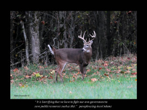 Proposed Whitetail Deer Management Plan for the Monocacy National ...