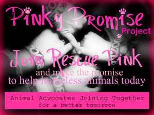 What is the PINKY PROMISE PROJECT ?