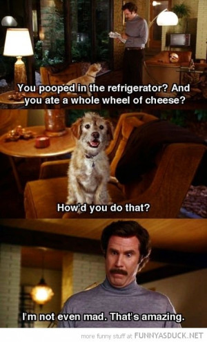 anchorman 2 quotes | the dog anchorman quotes anchorman quotes http ...