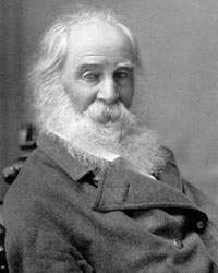 Walt Whitman First male Nurse #murse #nurse #thenurseshack # ...