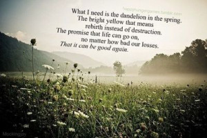 ... years ago to their inspiring quotes and sayings postboard view