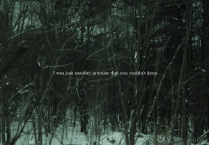 forest, nope, promise, quotes, relationship, sad, trees, words