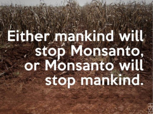 monsanto__stop_or_stop.jpg
