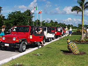 cozumel shore excursions