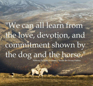 We can all learn from the love, devotion, and commitment shown by the ...