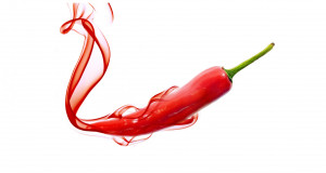 Chili-peppers1.jpg