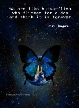 .. Carl Sagan Inspiration, Quotes, Butterflies Wings, Conscious ...