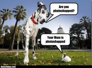 funnydogsbigsmallphotoshoppicture Your mom is photoshopped