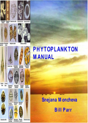 Example Of Phytoplankton
