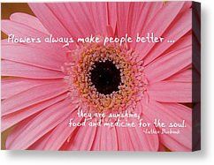Feel Better Quotes Canvas Prints - GERBER DAISY quote Canvas Print by ...