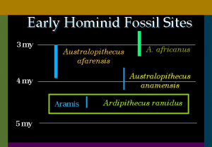 Mini Pocket Bullies · Christopher Walken Joe Dirt Quotes · Incus ...