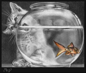 Temptation_in_The_Fish_Bowl_by_Snow_Owl