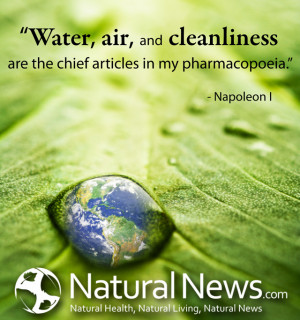 Water, air, and cleanliness are the chief articles in my pharmacopoeia ...