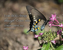 Swallowtail Butterfly Picture I Can Do All Things Through Christ Who ...