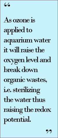 Ozone Applied Aquarium Water Will...