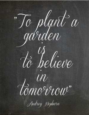 To plant a garden ....