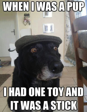 Old Dog Meme Vents On Today’s Puppies Being Addicted To Fancy Toys
