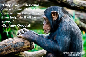 14 Quotes Every Animal Advocate Should Know By Heart (11)