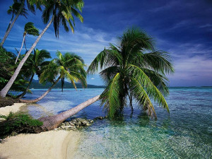 Cool Travel Pictures Tropical Island