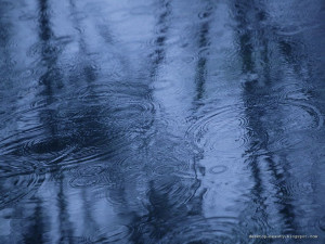 Rain Pictures | Rain Wallpapers | Rain Photos