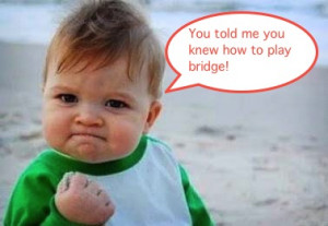 funny bridge baby and quote