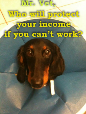 Veterinarians - who will protect your income if you can't work due to ...