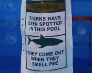 Swimming Pool Funny Sharks Spotted Sign
