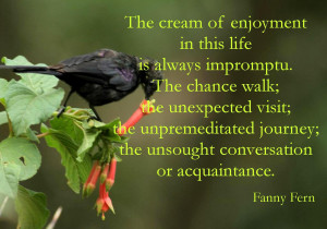The Cream Of Enjoyment In This Life Is Always Impromptu. The Chance ...