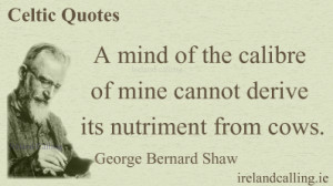 Illustration of George Bernard Shaw quote: 