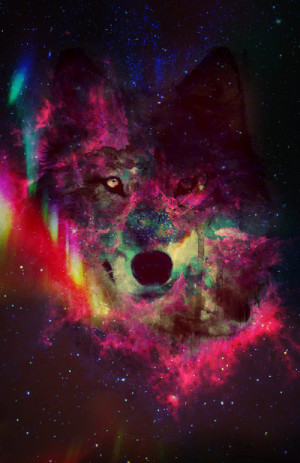 colourful, galaxy, wolf