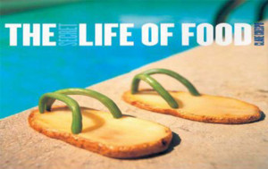 Cat And Dog Fight Very Funny Quotes Loves Fun World